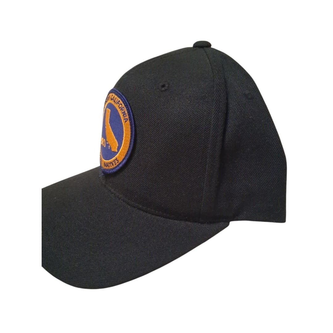 Local Natives Southern California Surf/Skate Style Snapback Hat Cap One Size - Thumbnail 3