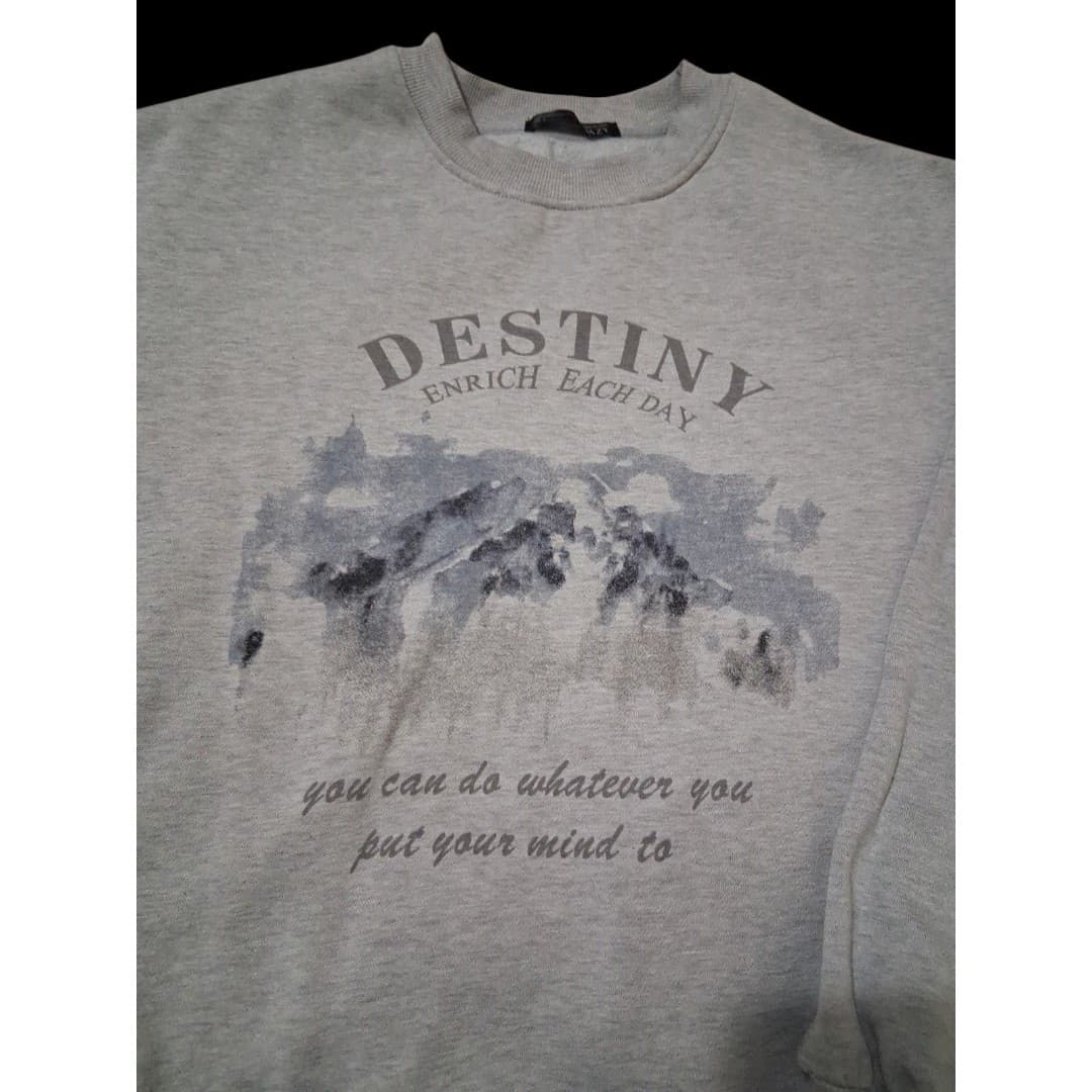 Dazy Sweatshirt Destiny Enrich Each Day Women's Size Small Gray Pullover Graphic