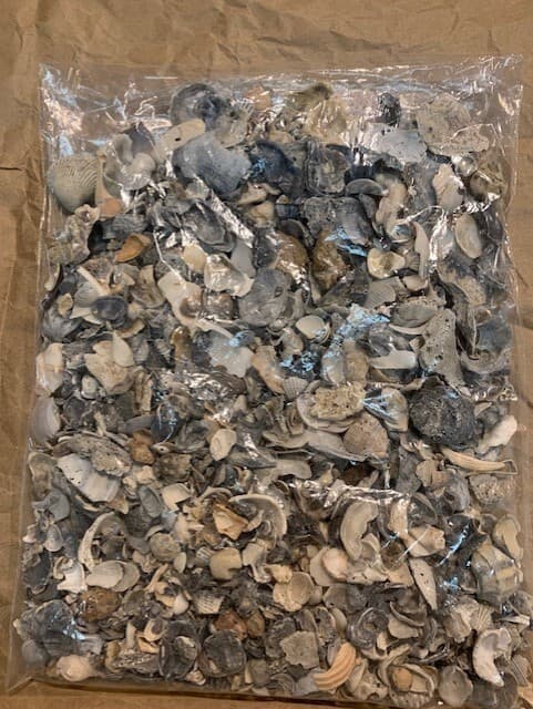 Crushed Broken Natural Sea Shells 24 ounces Crafts Fertilizer Galveston TX - Image 1