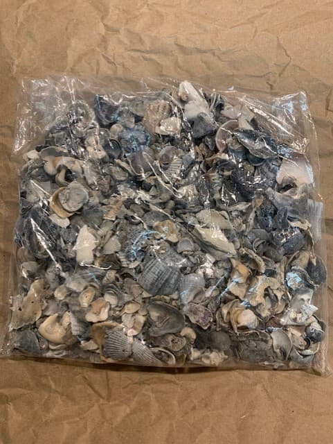 Crushed Broken Natural Sea Shells 24 ounces Crafts Fertilizer Texas - Image 1
