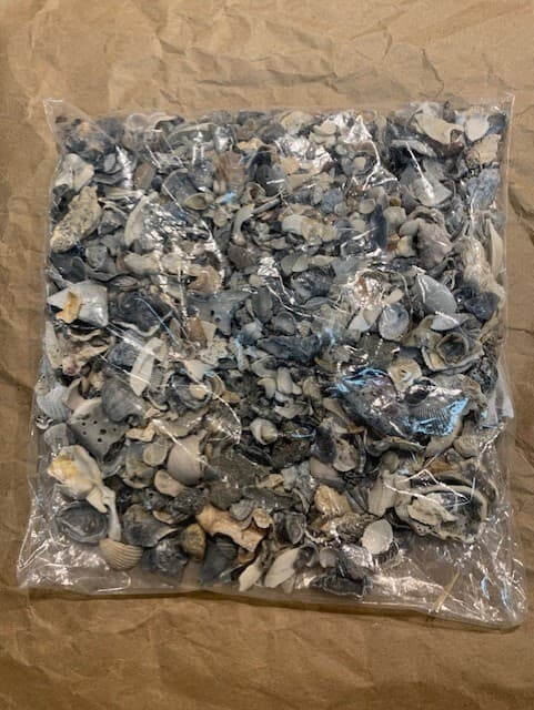 Crushed Broken Natural Sea Shells 24 ounces Crafts Fertilizer Texas - Thumbnail 2