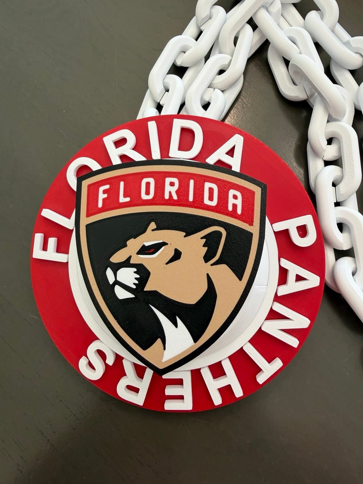 Florida Panthers spring hype fan chain neckless! Unique fan item! - Image 1