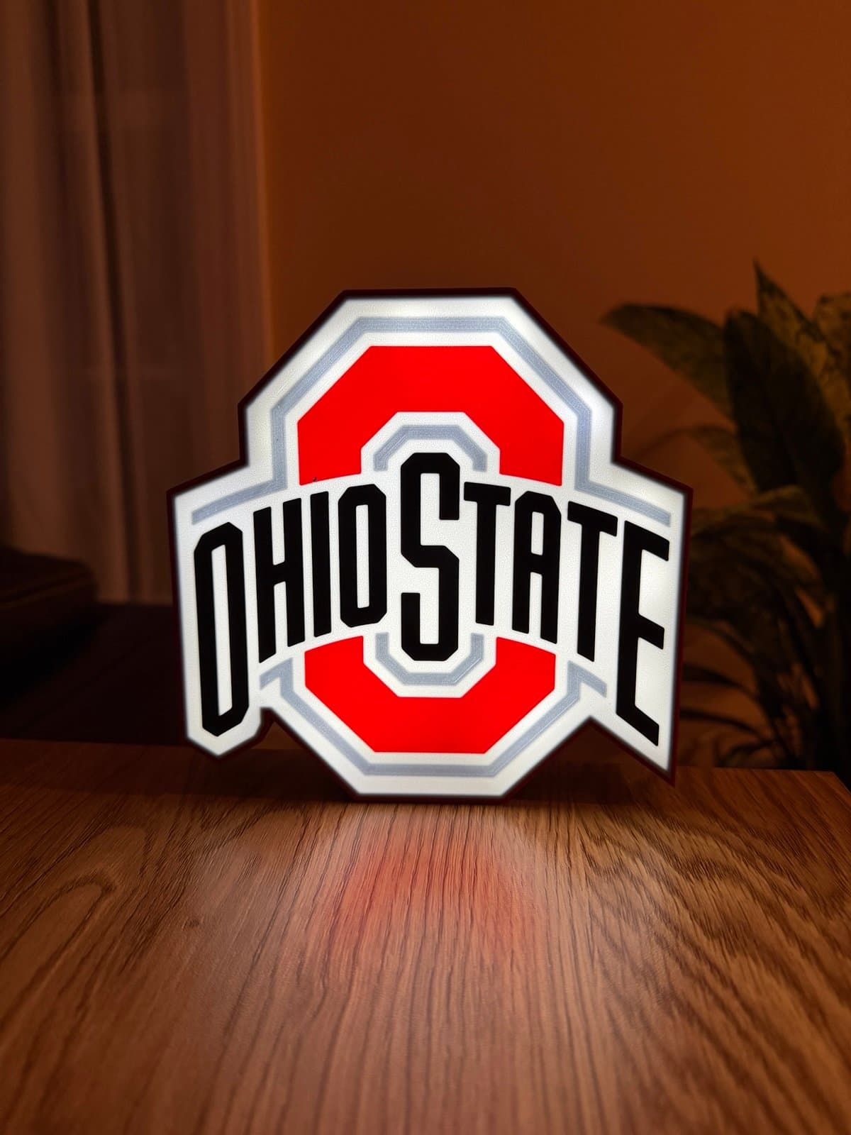 Ohio State University LED light box ! Light up your desk or shelf!