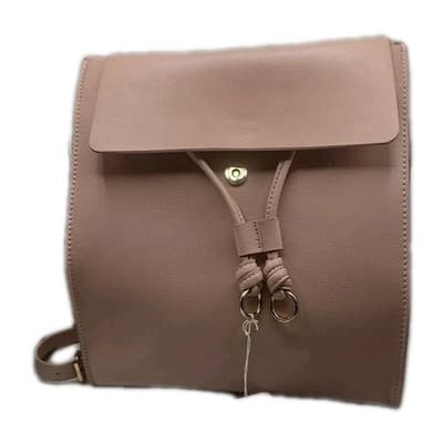 Zara "Trafaluc" Pale Pink Structured Rectangle Backpack W/ Gold Hardware - Image 1