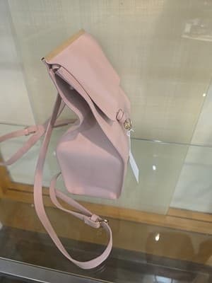 Zara "Trafaluc" Pale Pink Structured Rectangle Backpack W/ Gold Hardware - Thumbnail 8