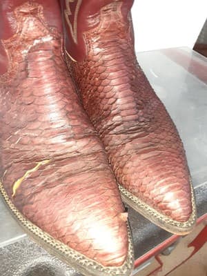 Vintage Justin Wine/Maroon/Red, Back Cut Python Boots, Size 8 1/2 - Thumbnail 8