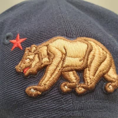 California Republic Flag Embroidered Whang Flat Bill Snapback Cap Hat - Thumbnail 5
