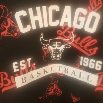Chicago Bulls Basketball Hoodie Sweatshirt Youth Black Red medium 12-14 - Thumbnail 2