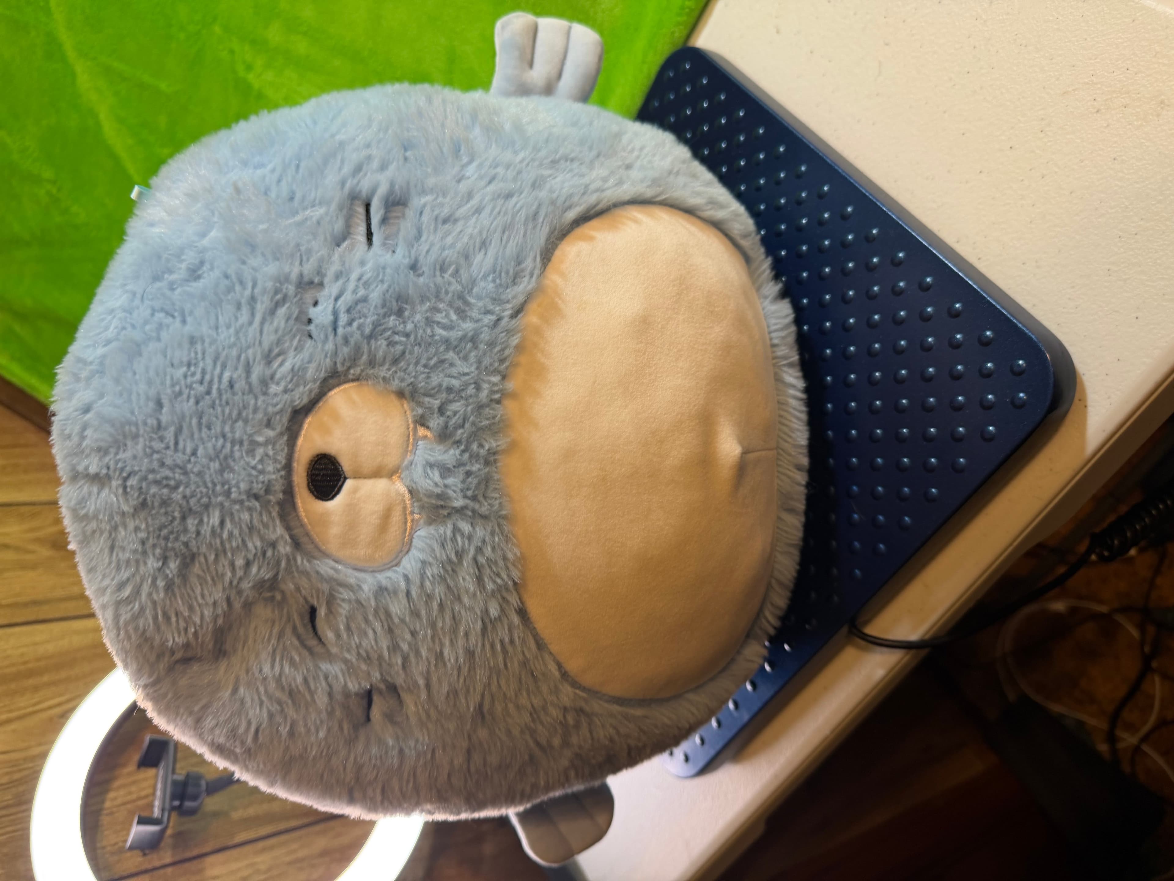 Squishmallows River the Beaver FuzzAMallow Plush Blue Gray Garden Squad Kawaii - Image 1