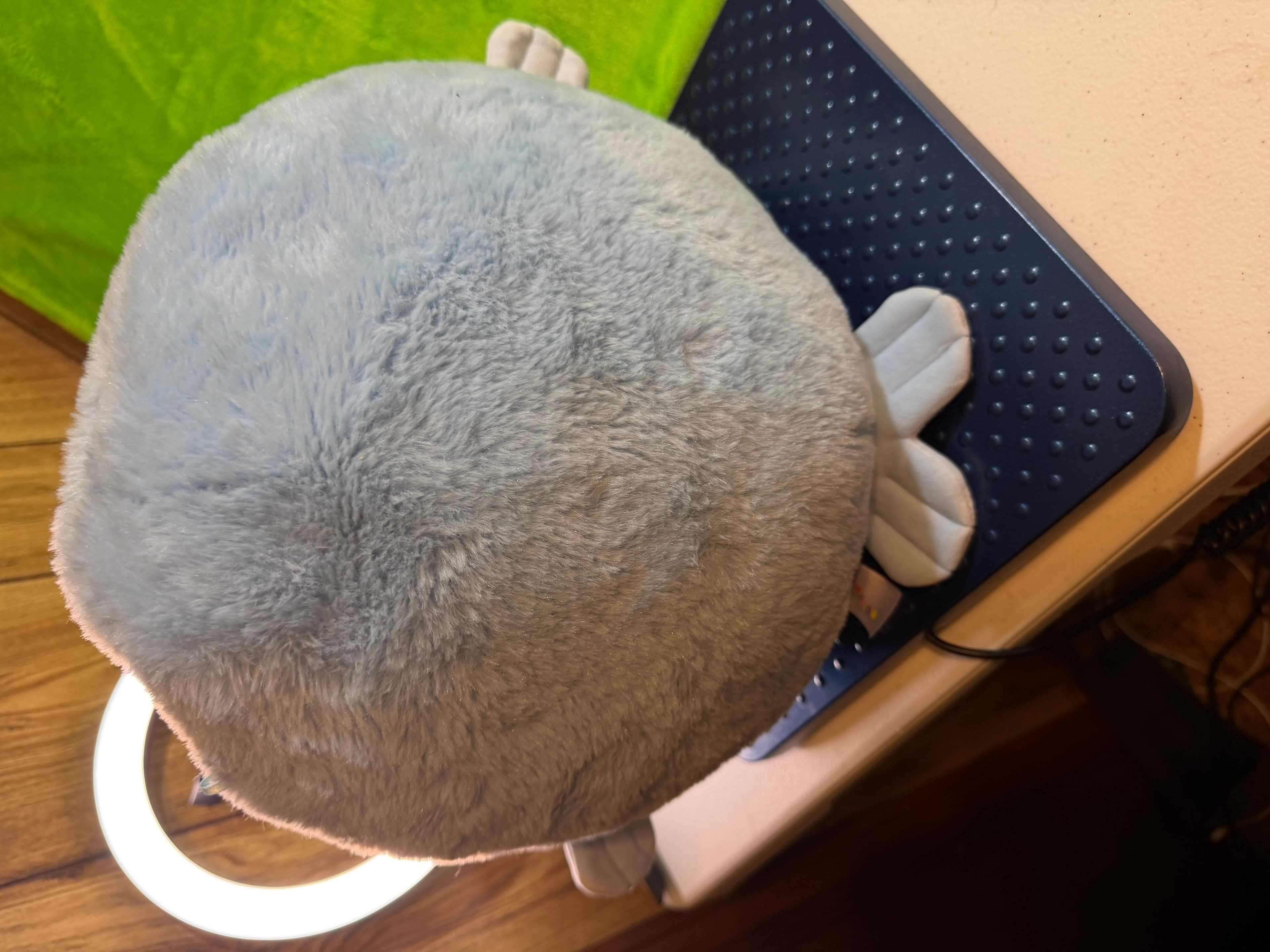 Squishmallows River the Beaver FuzzAMallow Plush Blue Gray Garden Squad Kawaii - Thumbnail 2