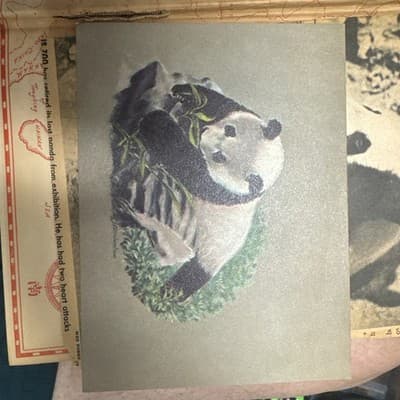 The Lady and the Panda 1938 1st Ed Harkness China Panda Adventure Exploration - Thumbnail 8