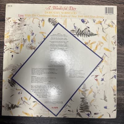 Dorthy Norwood - A Wonderful Day Rare Original Vinyl 1990 Stereo Mint Grade - Thumbnail 2