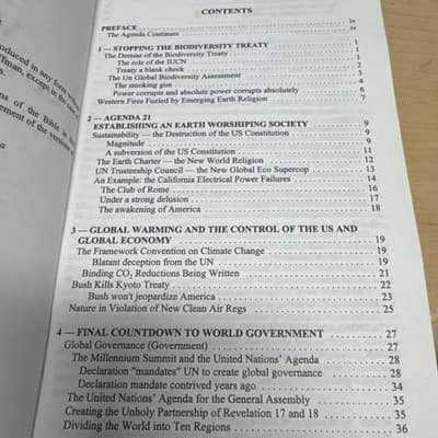 THE BIRTH OF WORLD GOVERNMENT - MICHAEL S. COFFMAN - 2001 - TRADE PB - VG+ - Thumbnail 3