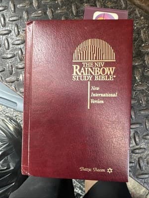 The Rainbow Study Bible King James Version Bold Print Burgundy Imitation Leather - Image 1