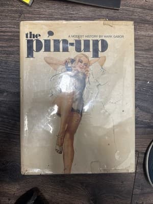 Pin Up : A Modest History by Mark Gabor (1972, Hardcover) w/ Dust Jacket - Image 1