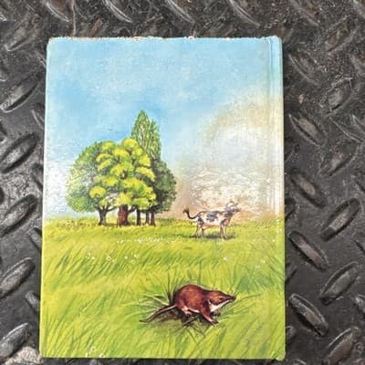 "Rumples And Tumbles Go To The Country" By David Lloyd Book 1984 Printing HB - Thumbnail 3