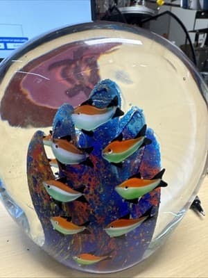 large beautiful Murano Art Glass Fish Aquarium Seascape Lampwork Paperweight - Image 1