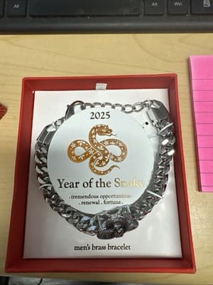 2025 Year of the Snake Men's Bracelet - Renewal & Fortune - Image 1