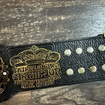 AJPW Triple Crown Heavyweight Championship Replica Heavy 7 Pounds - Thumbnail 7