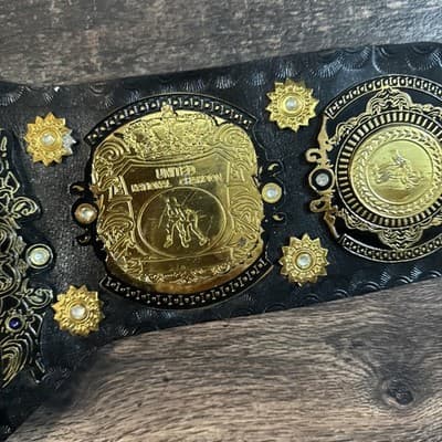 AJPW Triple Crown Heavyweight Championship Replica Heavy 7 Pounds - Thumbnail 5
