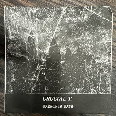 CRUCIAL T. -NYHC ep 1982 orig RAT CAGE RECORDS, Agnostic Front, Cro-Mags, PUNK - Thumbnail 2