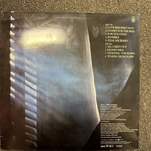 Alison Moyet 12” vinyl LP “Alf”U.K Mint - Thumbnail 2