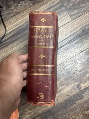 Hardcover Book Gray's Anatomy 22 Edition in Color 1930 Perfect Condition - Thumbnail 2