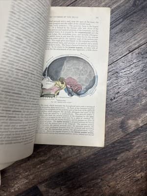 Hardcover Book Gray's Anatomy 22 Edition in Color 1930 Perfect Condition - Thumbnail 7
