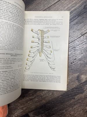 Hardcover Book Gray's Anatomy 22 Edition in Color 1930 Perfect Condition - Thumbnail 6