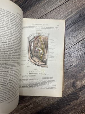 Hardcover Book Gray's Anatomy 22 Edition in Color 1930 Perfect Condition - Thumbnail 5
