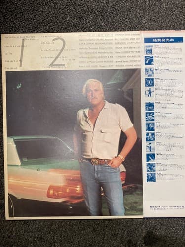 CHARLIE RICH Nobody But You GP791 UNITED ARTISTS JAPAN Vinyl OBI - Thumbnail 2