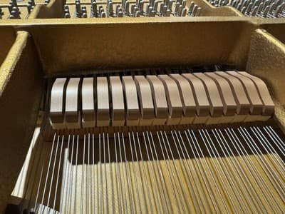 Steinway & Sons Model B – 1959 | Mahogany Finish + Bench - Thumbnail 12