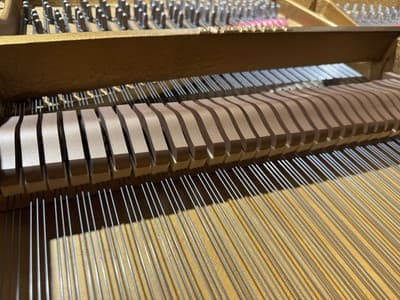Steinway & Sons Model B – 1959 | Mahogany Finish + Bench - Thumbnail 13