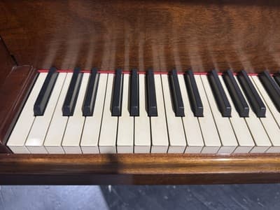 Steinway & Sons Model B – 1959 | Mahogany Finish + Bench - Thumbnail 19