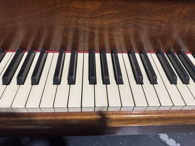 Steinway & Sons Model B – 1959 | Mahogany Finish + Bench - Thumbnail 21