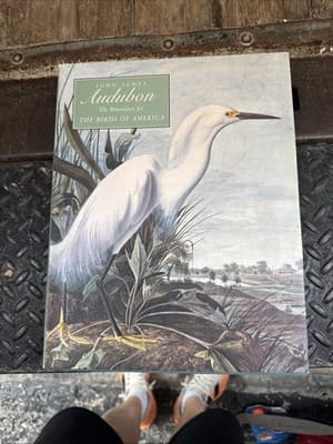 John James Audubon The Watercolors for The Birds of America #A1860 - Image 1