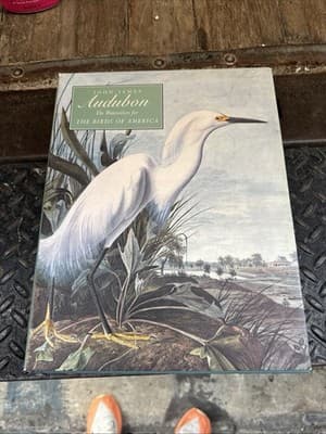 John James Audubon The Watercolors for The Birds of America #A1860 - Thumbnail 2