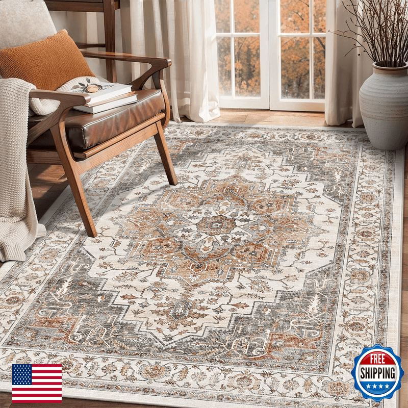Nakedcloud 3X5 Vintage Area Rugs For Indoor Entrance Stain Resistant Washable - Image 1