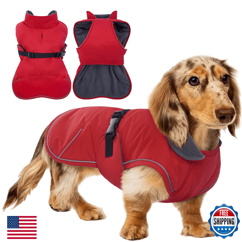 T'Chaque Waterproof Windproof Dachshund Jackets Adjustable Bands Thick Weiner - Image 1