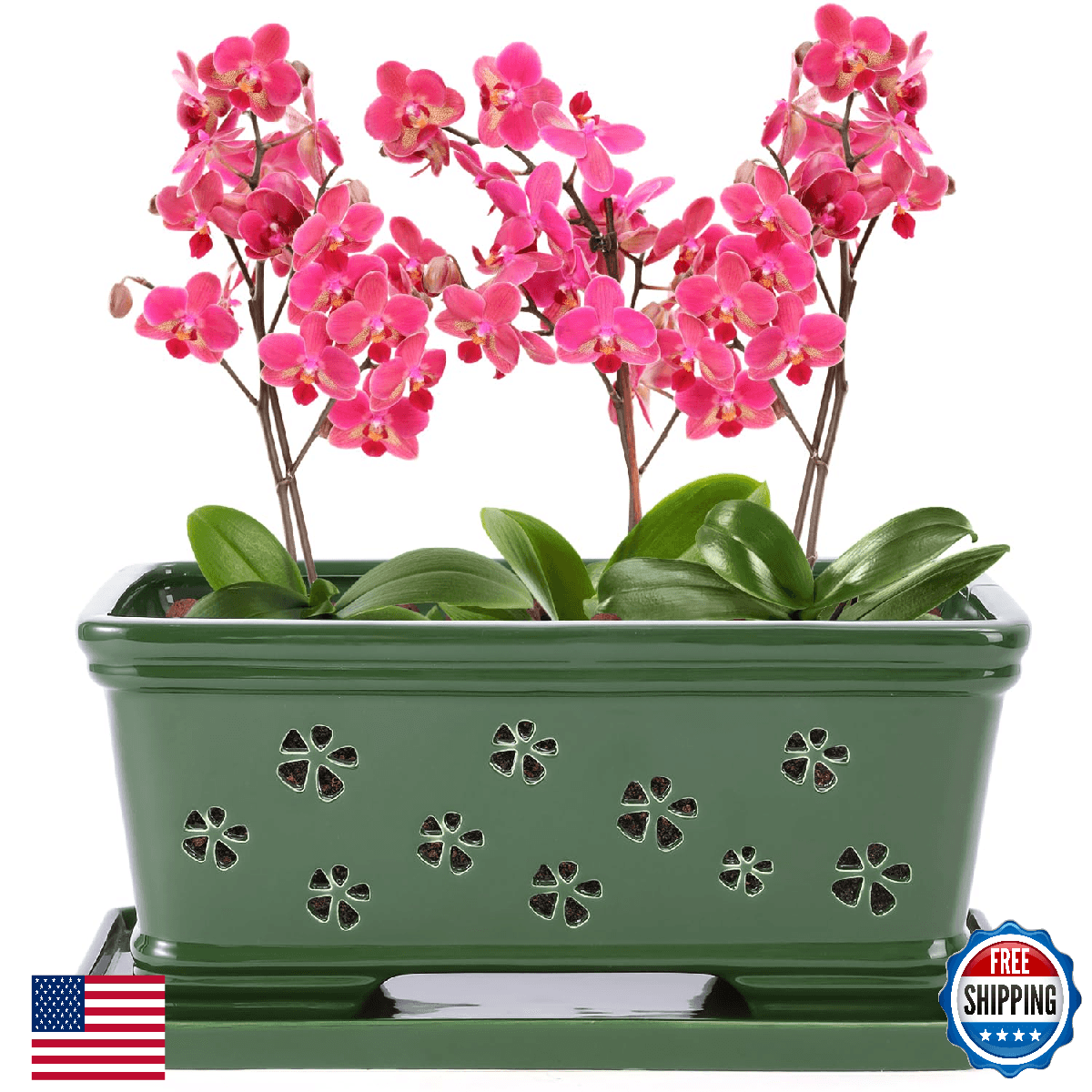 Lovely Ran 12Inch Green Ceramic Orchid Pot with Holes for Repotting and Ventilat - Image 1
