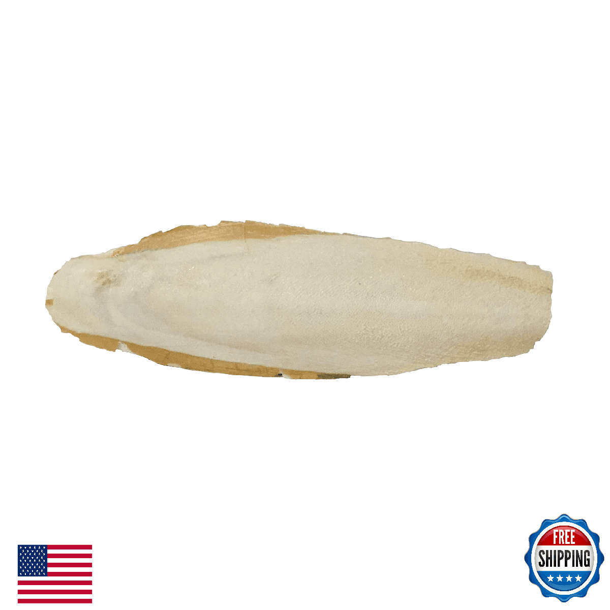 A&E Cage Cuttlebone 6-8" Pieces 5lb Cuttle Fish Bone for Birds - Image 1