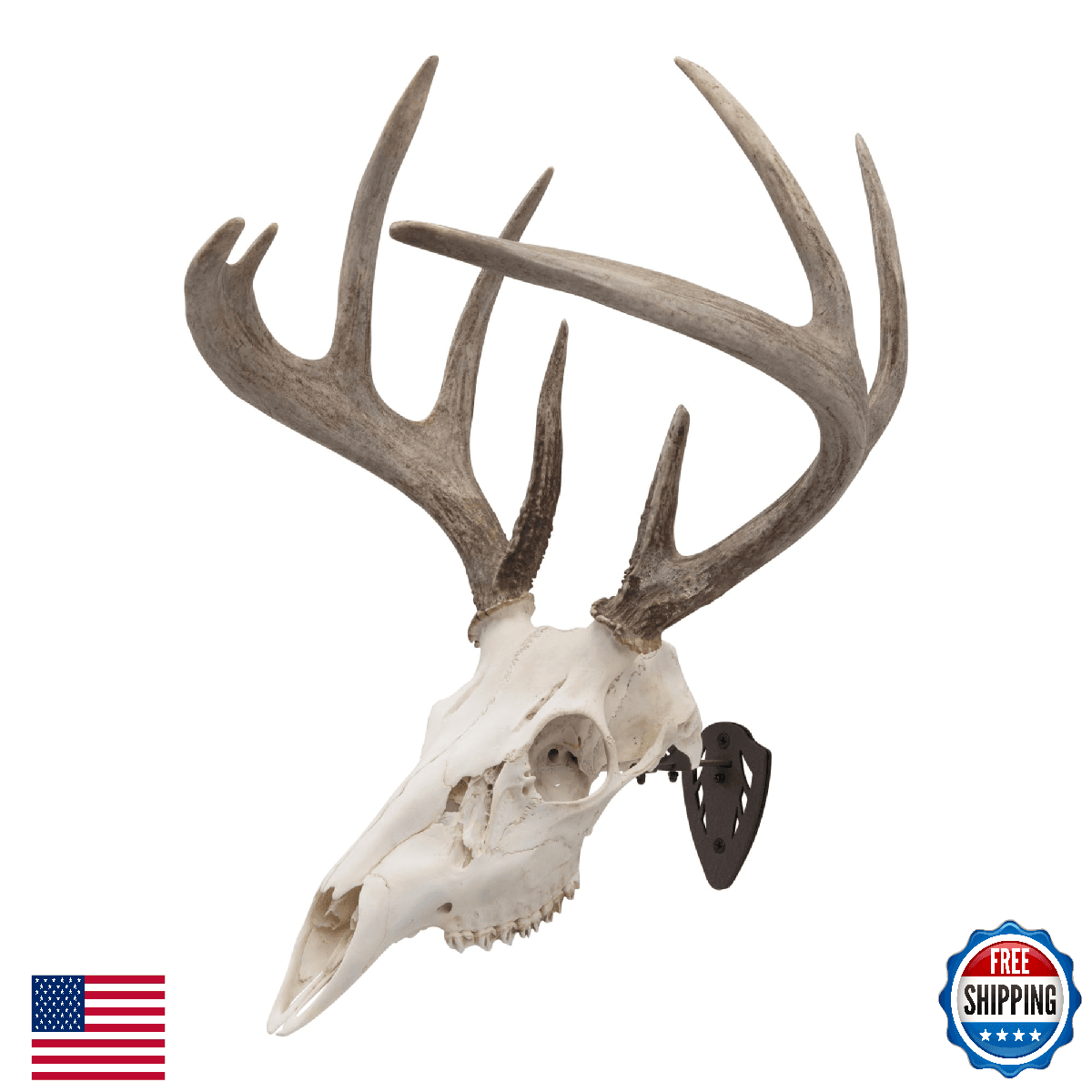 Allen EZ Mount Fixed Brown Skull Hanger for Deer, Antelope, Bear Trophies - Image 1