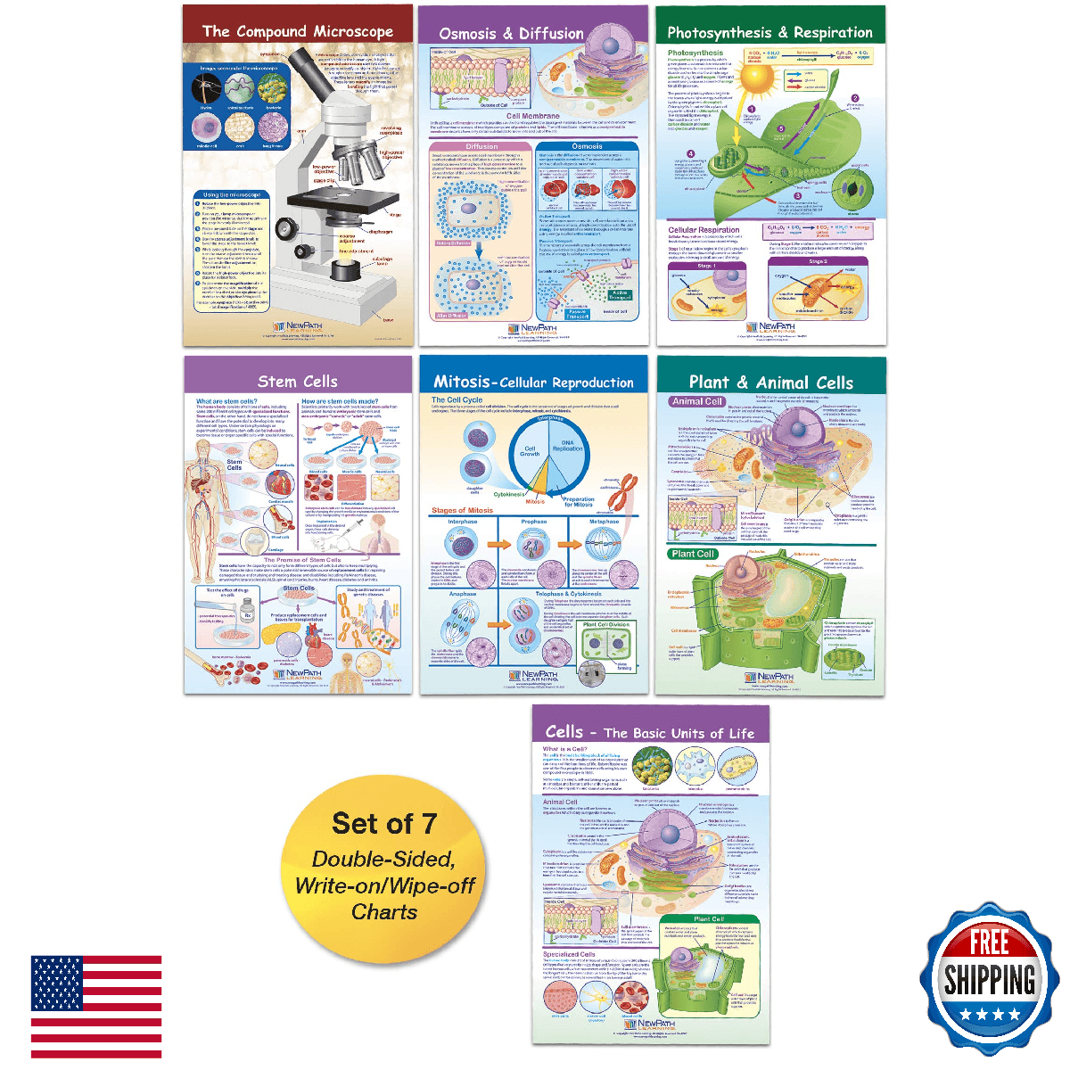 NewPath Learning Cells Bulletin Board Chart Set, Grades 3-5, 12 x 18 Inch, Full - Image 1