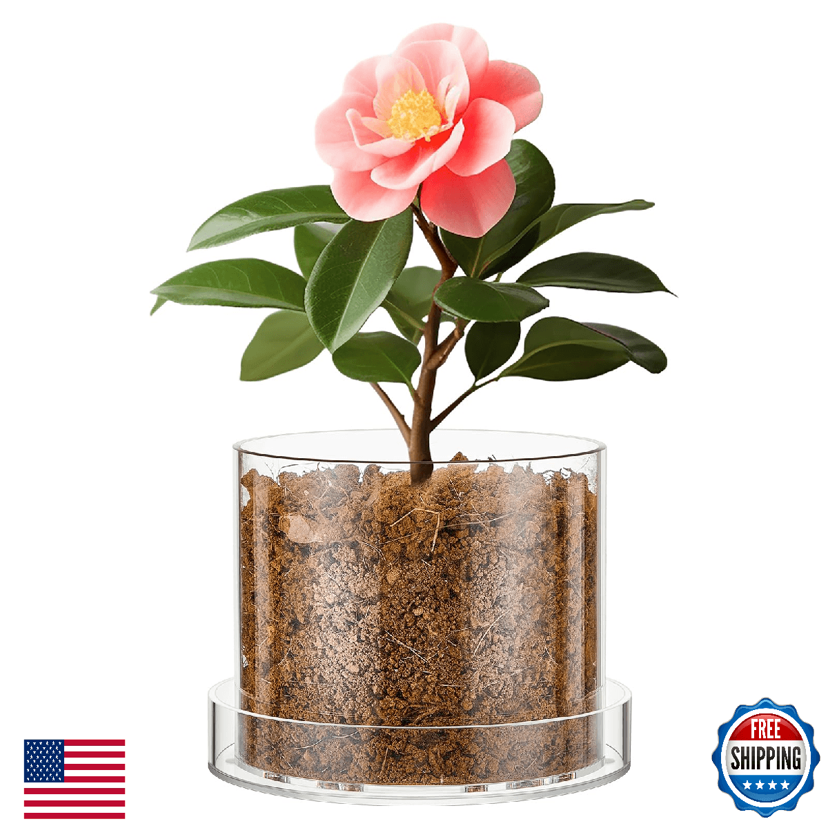 Sunnychicc 5x6" Clear Acrylic Orchid Pot w/ Drainage & Tray for Healthy Growth - Image 1