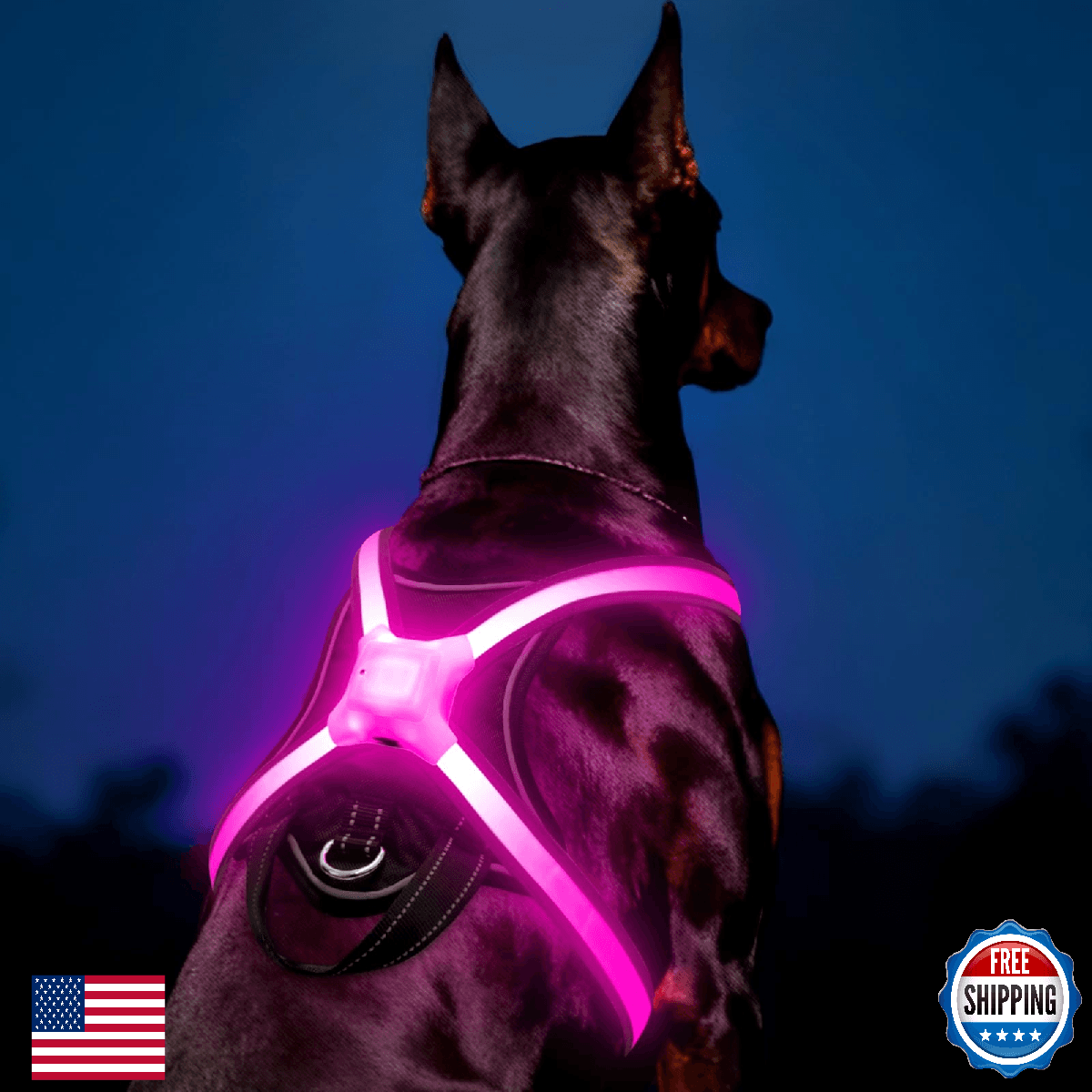 Light Up Dog Harness–Multicolor LED Dog Harness with 7 Lighting Modes | No Pull - Image 1