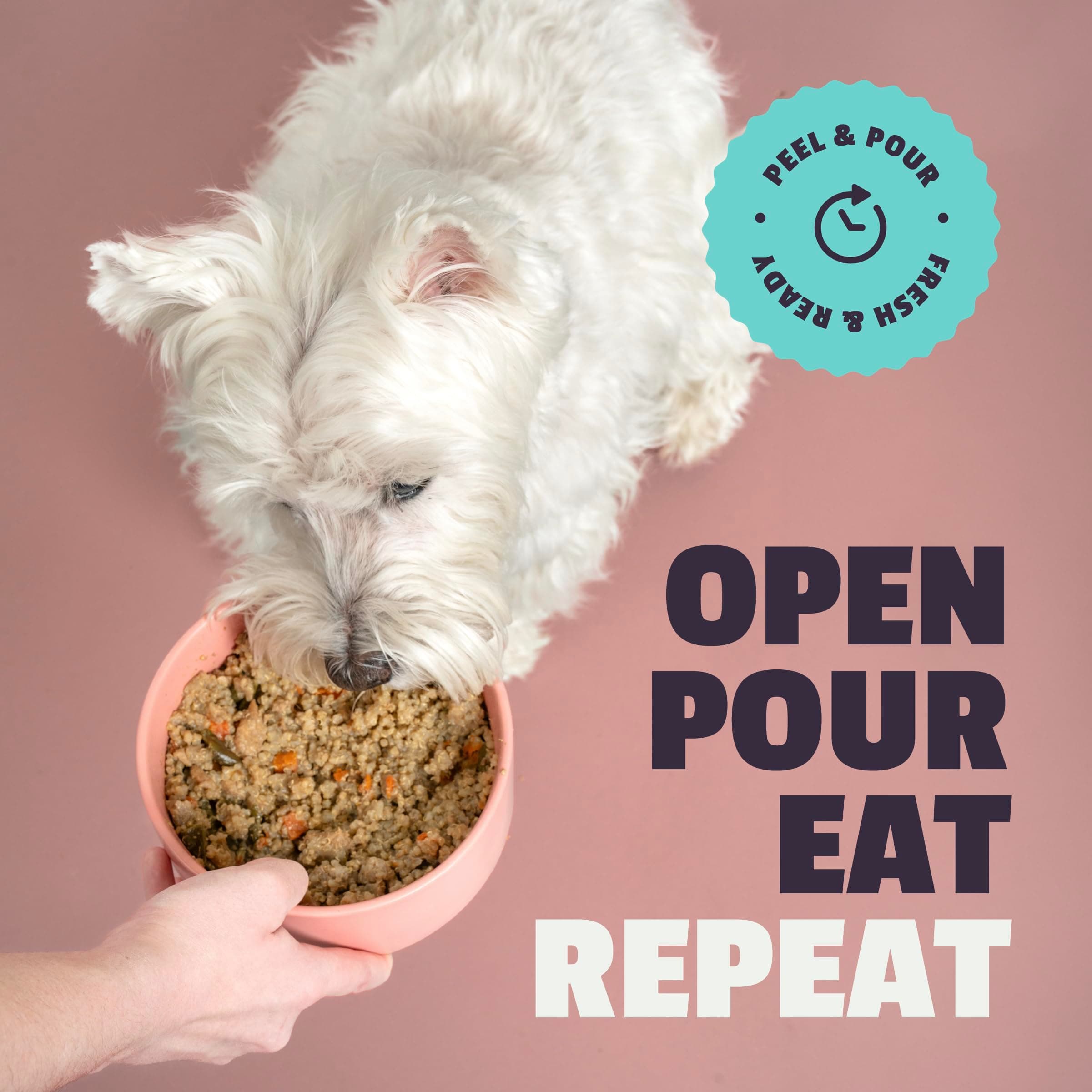 Fresh Dog Food: All-Natural Complete Meal, Topper, Wet, Vitamins & Minerals - Thumbnail 9