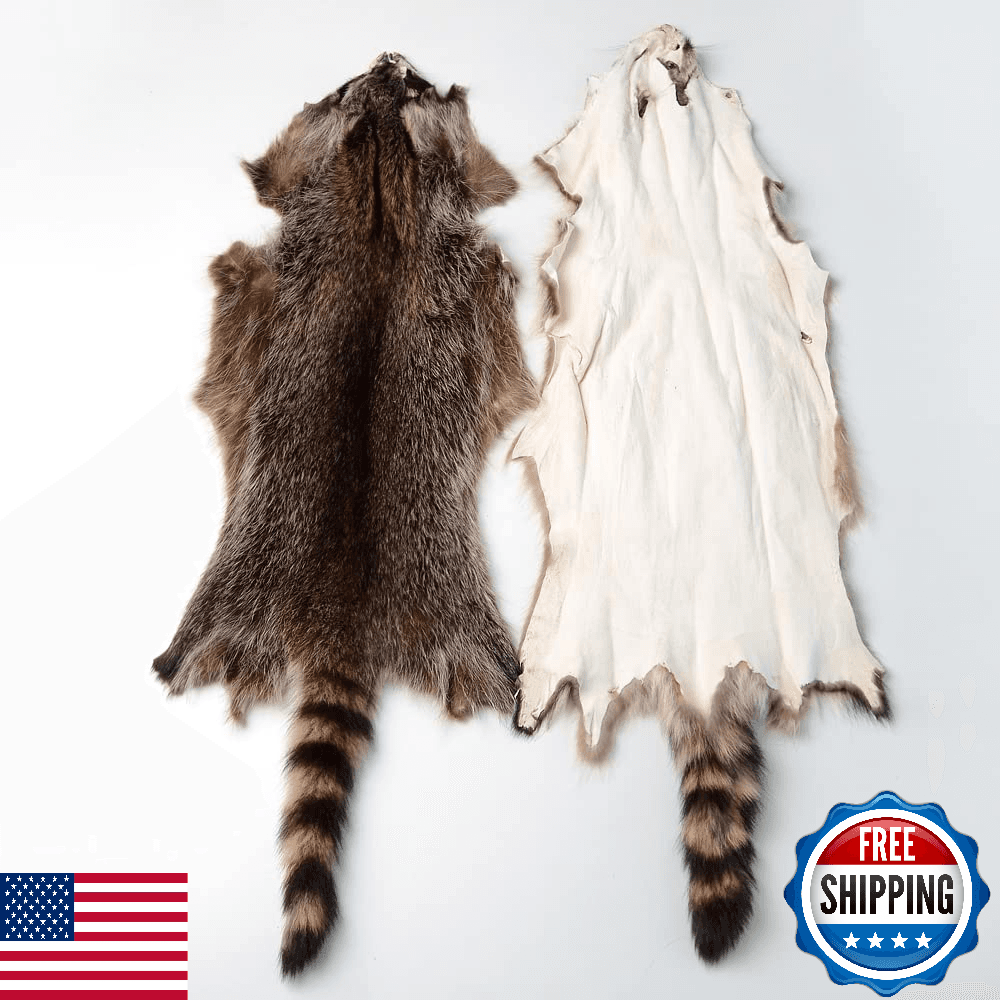 Natural Tanned American Raccoon Fur Hide Whole Skin Pelt, High Grade - Image 1