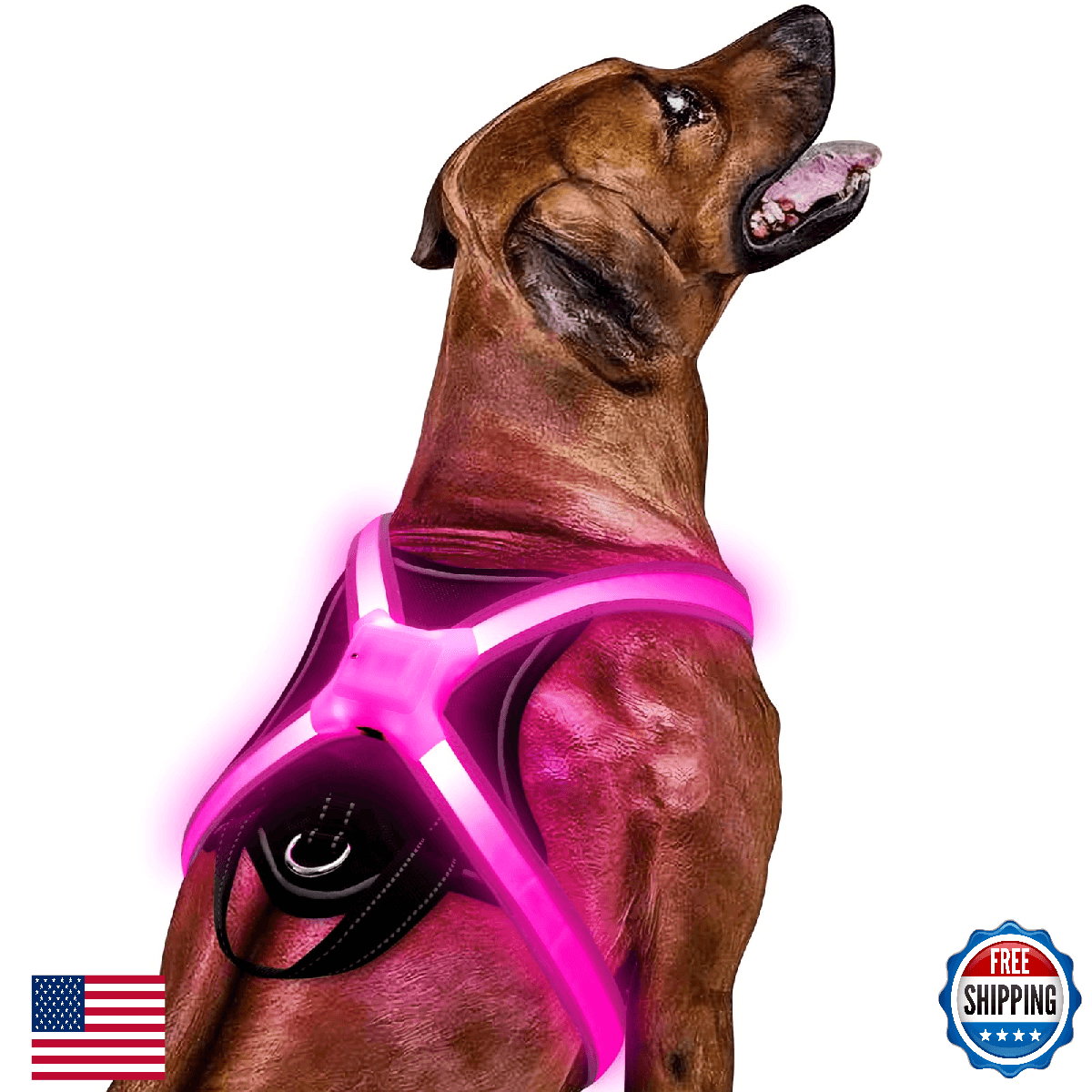 Light Up Dog Harness–Multicolor LED Dog Harness with 7 Lighting Modes | No Pull - Image 1