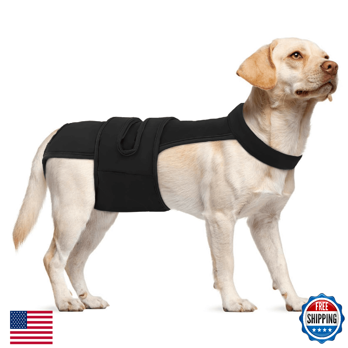 Leletail Dog Diapers Female Reusable Washable Period Diaper with Suspender,Adjus - Image 1