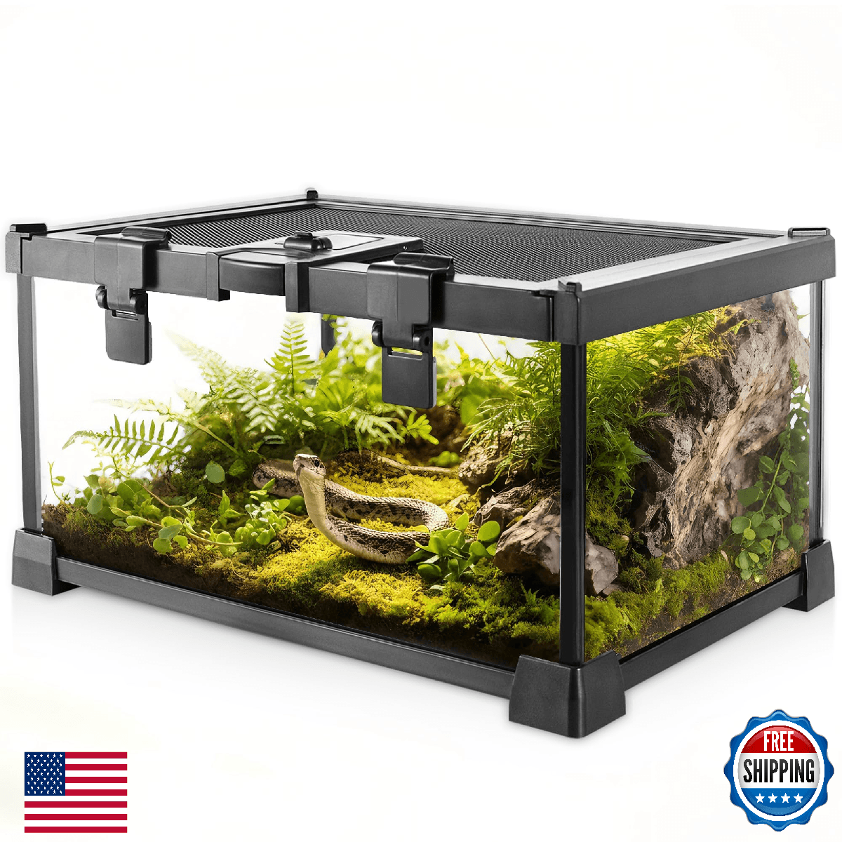 Mini Reptile Glass Terrarium Vivarium 12x8x6 Full View Tank Small Amphibian - Image 1